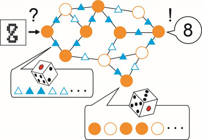 Dual Sampling Neural Network